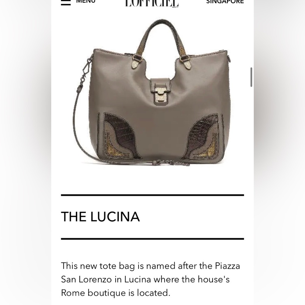 Bottega Veneta Limited Edition Lucina Bag - Used